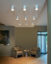 Solid LED Ceiling Light