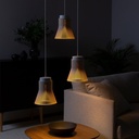 Petite Suspension Lamp