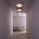 Kuulto Ceiling and Wall Light