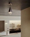 Dew Wall and Ceiling Light