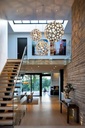 Coral Suspension Lamp