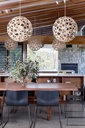 Coral Suspension Lamp