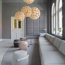 Coral Suspension Lamp