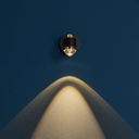 EC 301 Wall and Ceiling Light