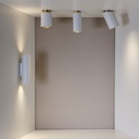 Tobo CS65 Ceiling Light