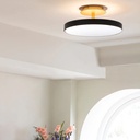 Asteria Up Ceiling Light