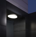 Ola Outdoor Wall and Ceiling Light