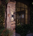 Dodo 100 Full Outdoor Wall Light