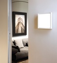 Flo Q 300 Wall and Ceiling Light