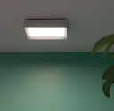 Flo Q 300 Wall and Ceiling Light