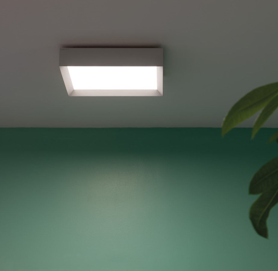 Flo Q 300 Wall and Ceiling Light