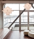 Taraxacum 2 Suspension Lamp