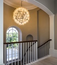 Taraxacum 88 Suspension Lamp