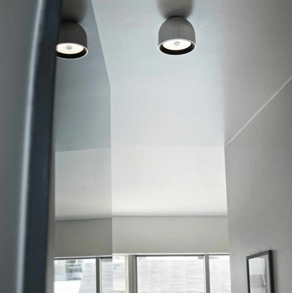 Wan Wall and Ceiling Light