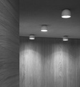Wan Wall and Ceiling Light