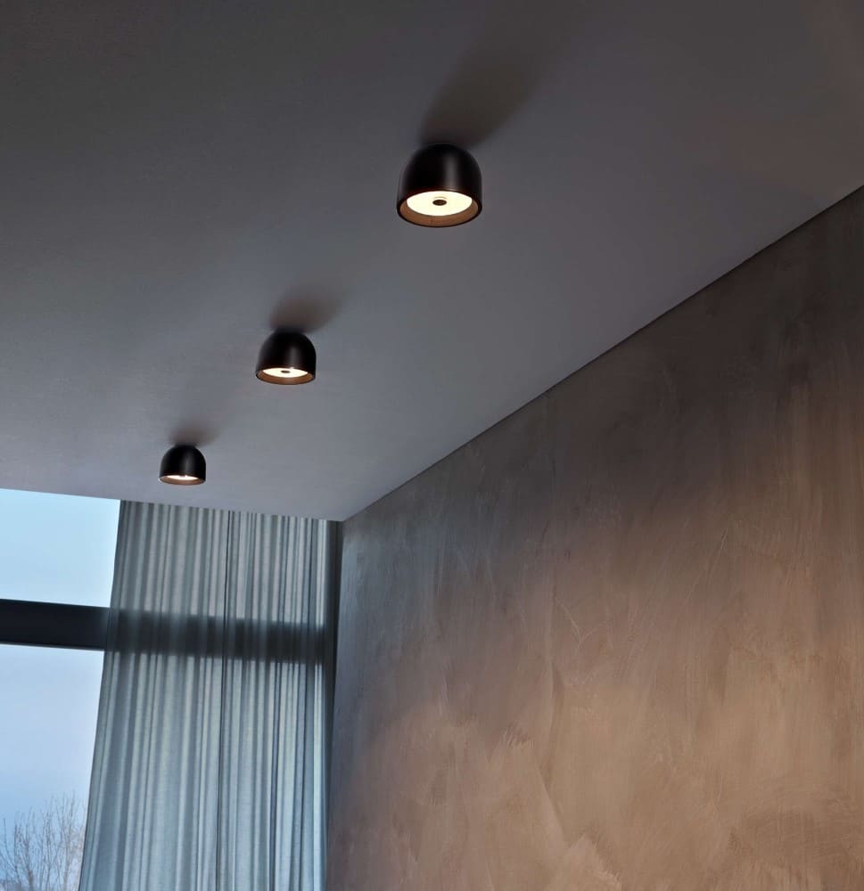 Wan Wall and Ceiling Light
