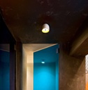 Wan Wall and Ceiling Light