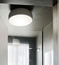 Smithfield Pro Ceiling Light