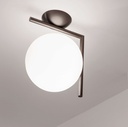 IC C/W2 Wall and Ceiling Light
