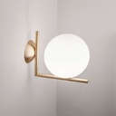 IC C/W2 Wall and Ceiling Light