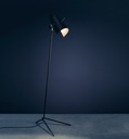 Claritas Floor Lamp