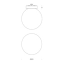 Asteroide Ceiling Light