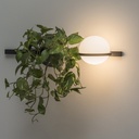 Palma 3702 Wall Light