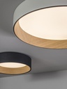 Duo 4870 Ceiling Light