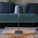 Poldina Pro L Portable Table Lamp
