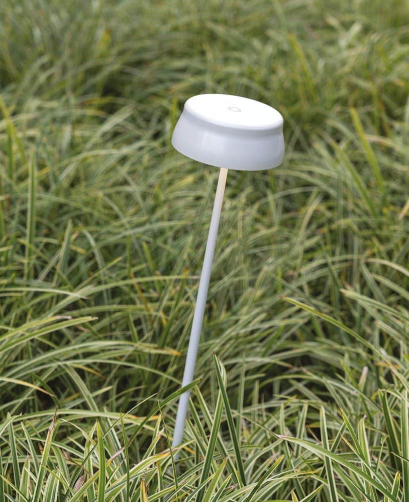 Sister Light Lamp with peg