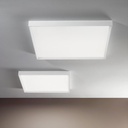 Tara Maxi Wall and Ceiling Light