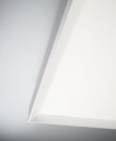 Tara Mega Wall and Ceiling Light