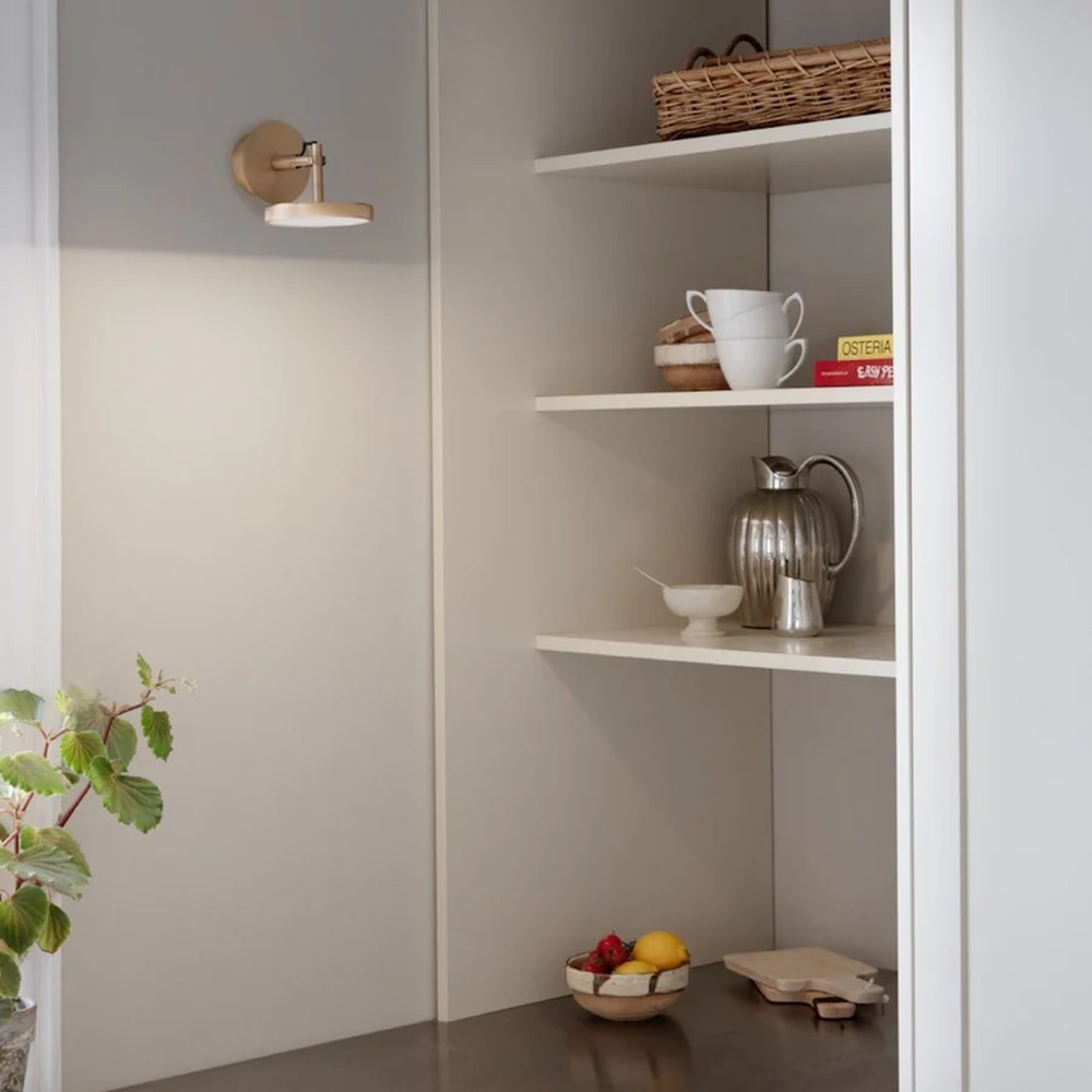 Asteria Spot Light