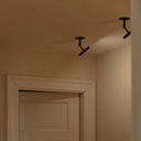 Asteria Spot Light