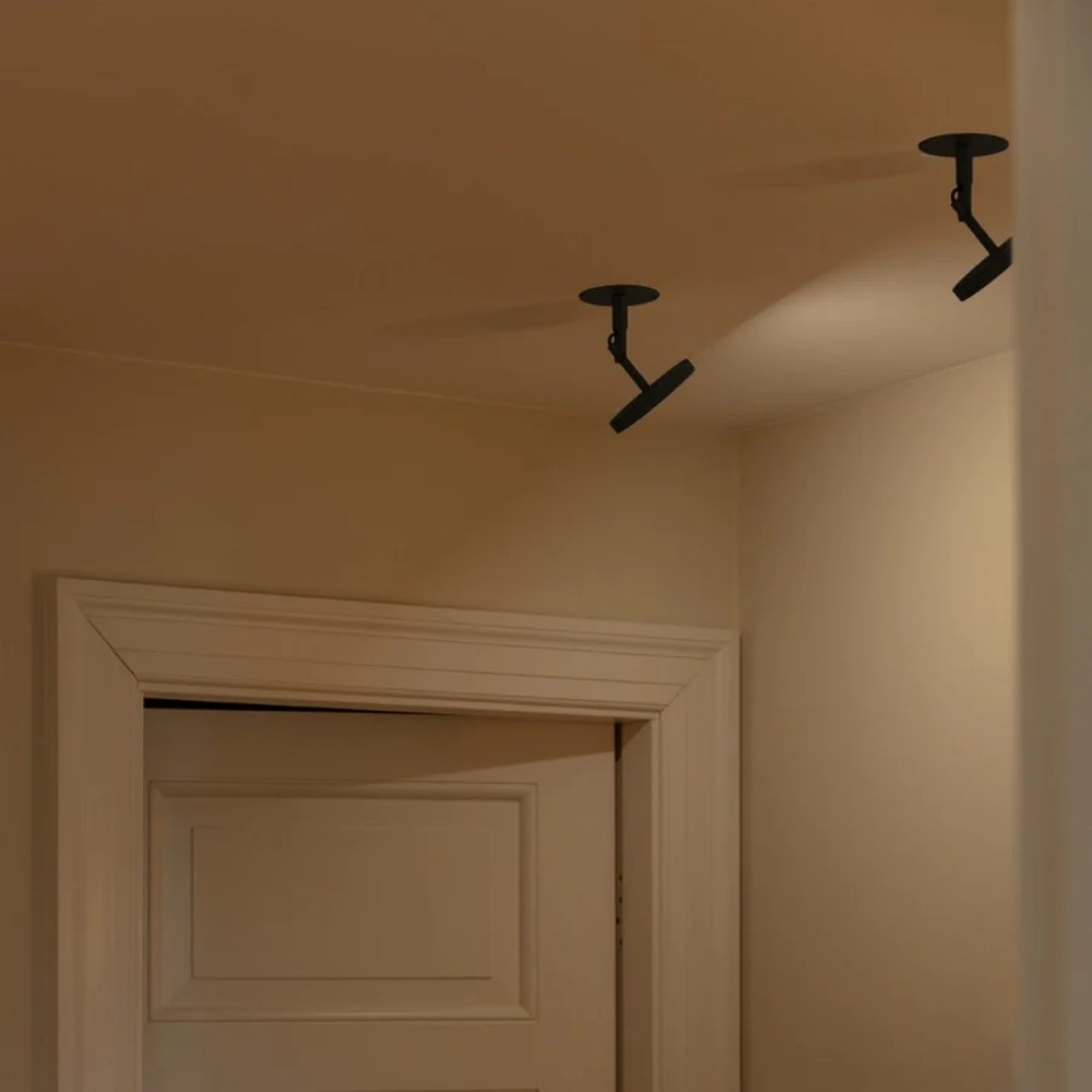 Asteria Spot Light