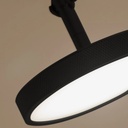 Asteria Spot Light