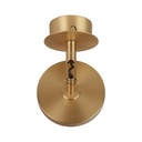 Asteria Spot Light