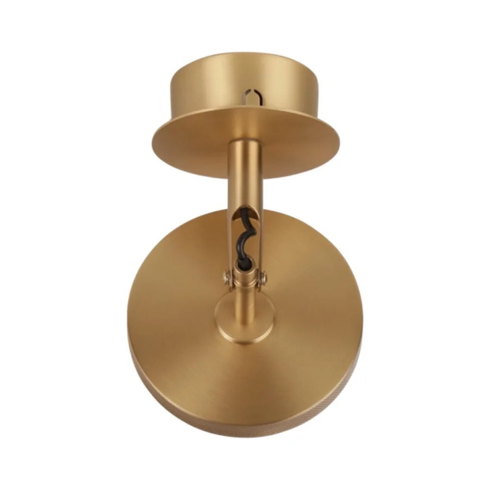 Asteria Spot Light