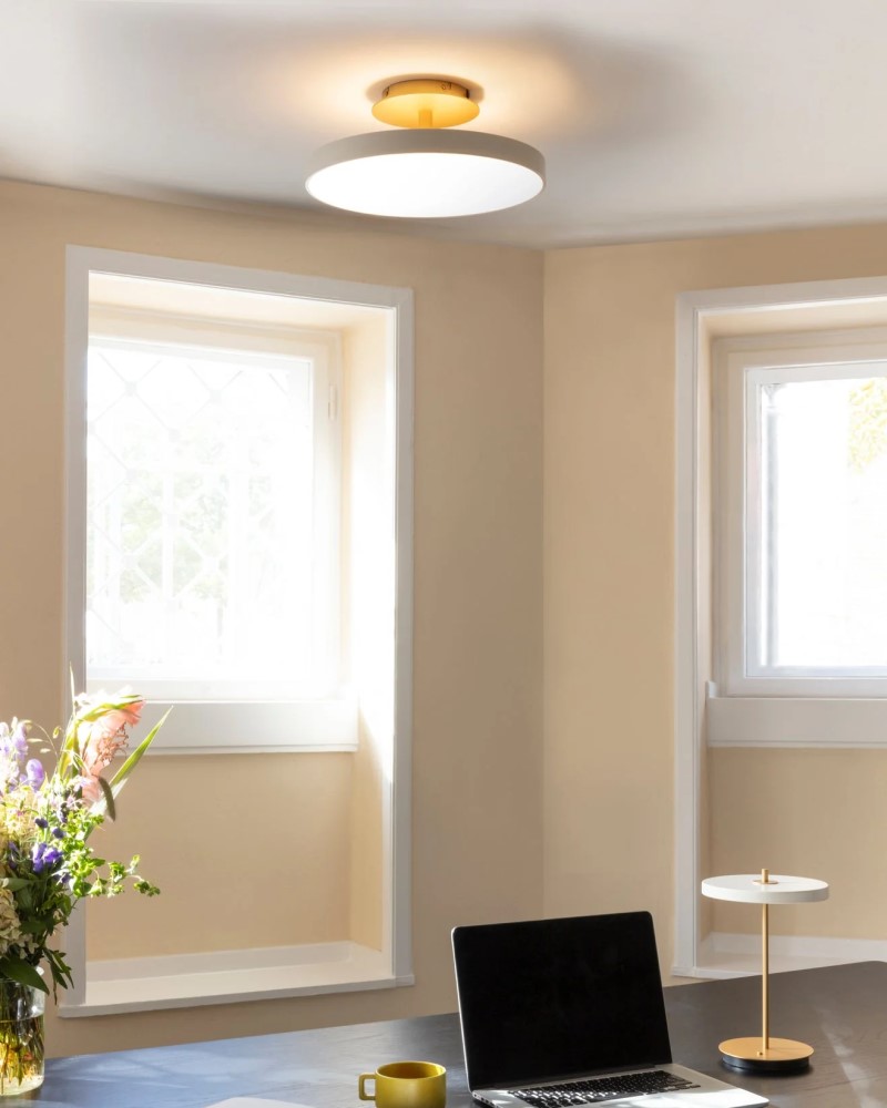 Asteria Up Ceiling Light