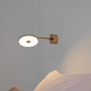 Asteria Long Wall Light