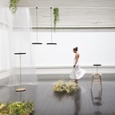 Asteria Plus Suspension Lamp