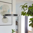 Asteria Plus Suspension Lamp