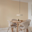 Asteria Suspension Lamp
