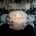 Eos Lamp
