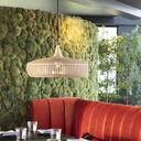 Clava Dine Wood Lamp
