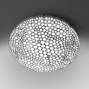 Calipso Wall and Ceiling Light