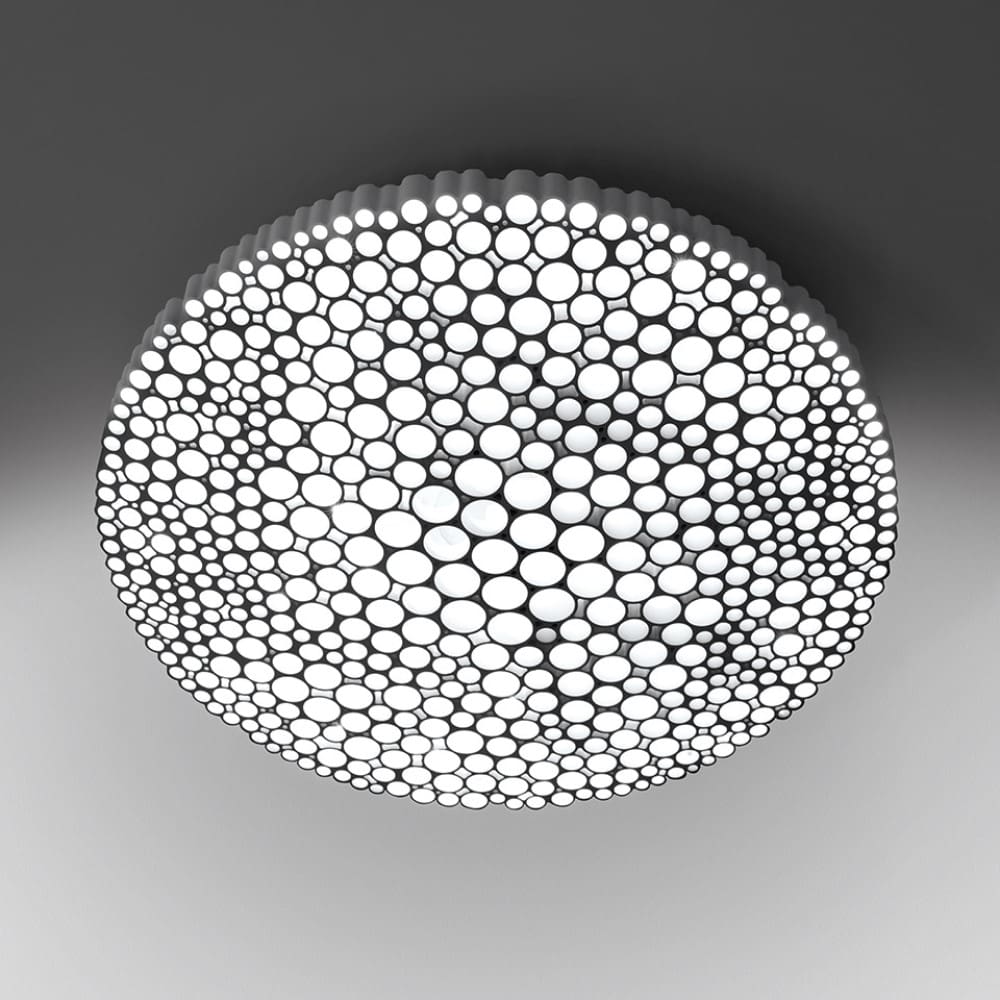 Calipso Wall and Ceiling Light