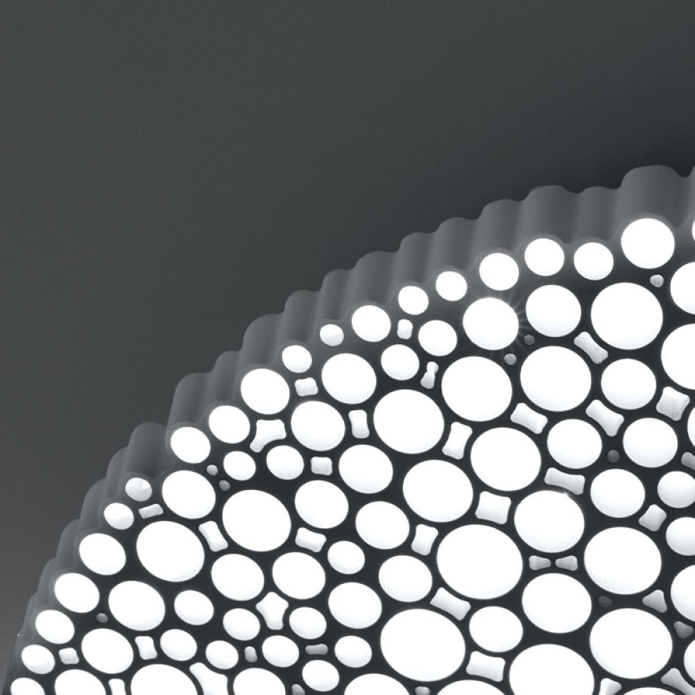 Calipso Wall and Ceiling Light