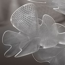 Cholorophilia Suspension Lamp