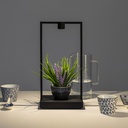 Curiosity Table Lamp